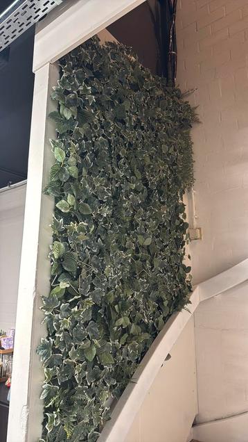 Ikea wand kunst  planten 27 stuks beschikbaar voor biedingen