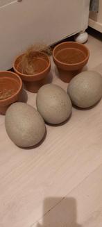 Stenen eieren 25 cm groot hol van binnen igst met pot 3 st, Huis en Inrichting, Woonaccessoires | Kandelaars en Kaarsen, Ophalen of Verzenden