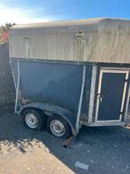 Opknapper Paardentrailer te koop, Dieren en Toebehoren, Meerdere dieren, Schaap, 0 tot 2 jaar