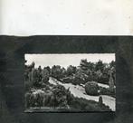 Ansicht Dwingeloo - Jeneverbes in 't Lheebroekerzand, Verzenden, 1940 tot 1960, Gelopen, Drenthe
