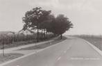 HELENAVEEN - 1973 - Oude Peelstraat, Verzenden, 1960 tot 1980, Ongelopen, Noord-Brabant