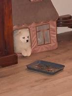 Ik heb nog een hele mooie pomeriaantje reutje geboren op 17, Dieren en Toebehoren, Keeshond, 15 weken tot 1 jaar, Reu, CDV (hondenziekte)