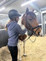 Verzorger/bijrijder/verzorgpony gezocht, Dieren en Toebehoren, Ophalen, Zo goed als nieuw