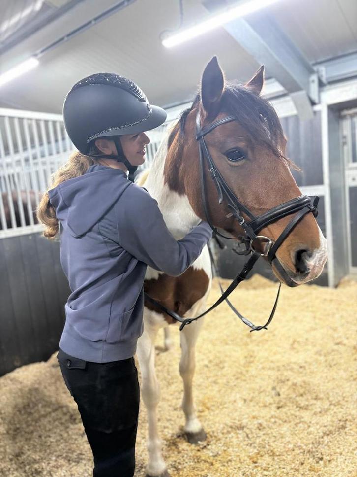 Verzorger/bijrijder/verzorgpony gezocht, Dieren en Toebehoren, Paarden en Pony's | Verzorgingsproducten, Zo goed als nieuw, Ophalen