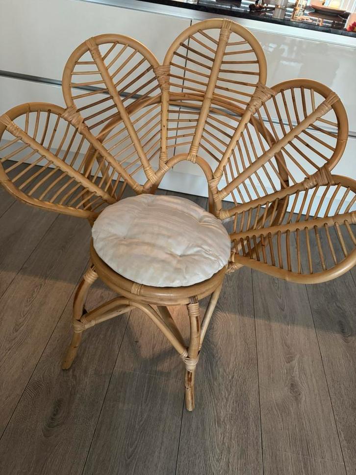 Rotan stoel: gratis ophalen, Huis en Inrichting, Stoelen, Gebruikt, Eén, Riet of Rotan, Bruin, Ophalen