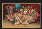 Ansichtkaart poes tussen de bloemen relief B8-18, Verzamelen, Ophalen of Verzenden, Voor 1920, Ongelopen, Overige thema's