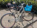 Gazelle van Stael  met kapotte versnellingsnaaf, Ophalen, Gebruikt, Gazelle