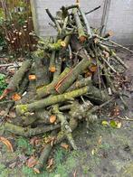 Kersenhout te koop, Minder dan 3 m³, Ophalen, Overige houtsoorten, Stammen