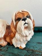 Shih Tzu keramiek, Ophalen of Verzenden, Zo goed als nieuw, Dier