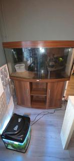 Juwel panorama 120 breed, Dieren en Toebehoren, Ophalen, Leeg aquarium
