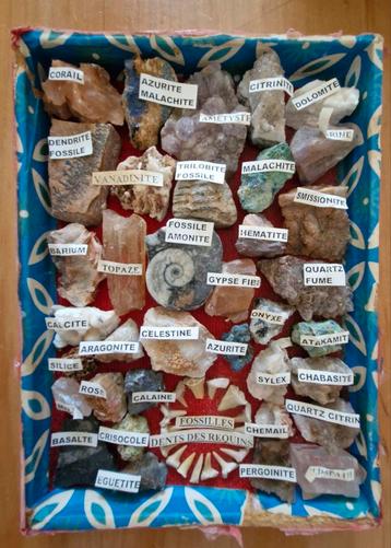 Edelstenen & Mineralen Collectie met Fossielen beschikbaar voor biedingen