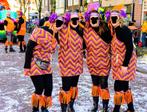 Oranje / paars gestreept + bloem loopgroep carnaval, Ophalen of Verzenden, Zo goed als nieuw, Carnaval