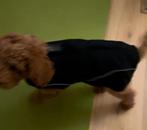 Dogbite waterdichte, gevoerde honden winterjas, Ophalen, Gebruikt, Hondenjas