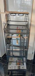 Te koop grote papegaaien Kooi vogelkooi, Ophalen, Gebruikt, Metaal, Vogelkooi