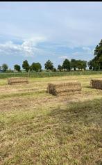 Hooi mooi droog en eiwitarm , 2 balen a 350kg, Dieren en Toebehoren, Stalling en Weidegang