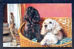 Twee schattige honden wachten in de mand, 1959, Verzamelen, Ansichtkaarten | Dieren, Verzenden, 1940 tot 1960, Gelopen, Hond of Kat