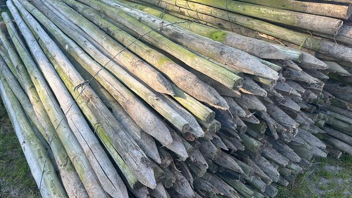 Houten Palen / Weidepalen - 2.5m - Veel op voorraad!, Tuin en Terras, Palen, Balken en Planken, Nieuw, Palen, 250 cm of meer, Hardhout