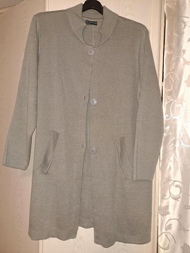 2 NIEUWE DAMES VESTEN MAAT XL, Kleding | Dames, Truien en Vesten, Nieuw, Maat 46/48 (XL) of groter, Ophalen of Verzenden