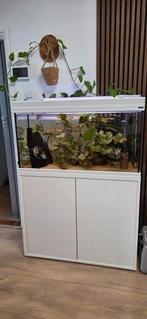 Te koop aquarium Aquatlantis 190L, Dieren en Toebehoren, Ophalen, Zo goed als nieuw, Gevuld zoetwateraquarium