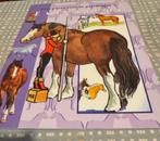 Pony wijzer voor de paarden gek, Boeken, Tijdschriften en Kranten, Ophalen of Verzenden, Gelezen, Sport en Vrije tijd