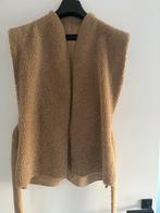 Drykorn gilet, Kleding | Dames, Ophalen of Verzenden, Zo goed als nieuw, Maat 36 (S), Bruin