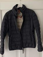 Donkerblauwe parajumper model Geena dames maat S origineel, Blauw, Maat 36 (S), Gedragen, Parajumpers