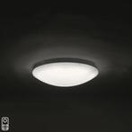 Plafondlamp 40 cm incl. LED met afstandsbediening, Huis en Inrichting, Lampen | Plafondlampen, Metaal, Zo goed als nieuw, Ophalen