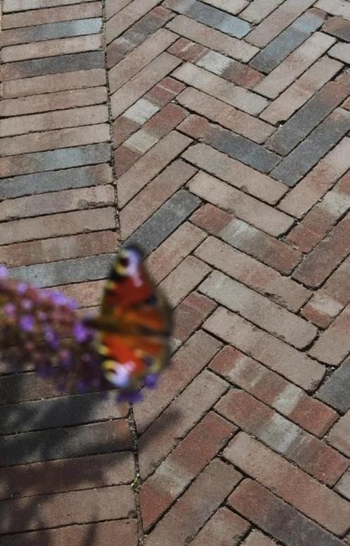 Speciale partij Vulcano Antica WF, Tuin en Terras, Tegels en Klinkers, Nieuw, Klinkers, Overige materialen, 10 m² of meer, Ophalen