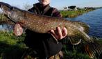 snoekstreamers met een dubbele Magnum Dragon Tail staart, Ophalen, Nieuw, Complete set