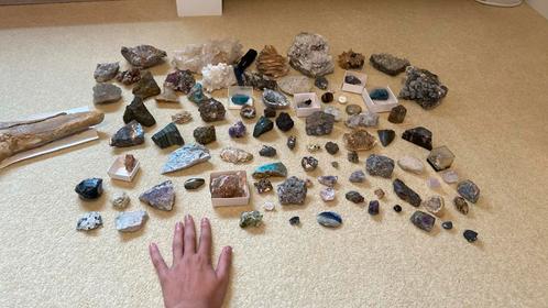 Diverse mineralen, fossielen en prehistorisch bison bot, Verzamelen, Mineralen en Fossielen, Mineraal, Ophalen