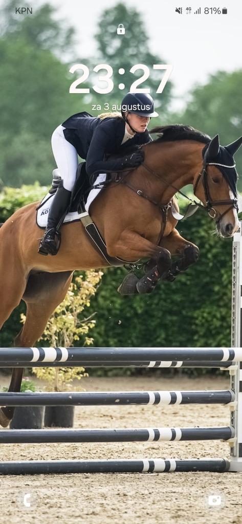 Super lieve niet kijkerig 5jr springpaard/allrounder, Dieren en Toebehoren, Paarden, Merrie, B, 160 tot 165 cm, 3 tot 6 jaar, Springpaard