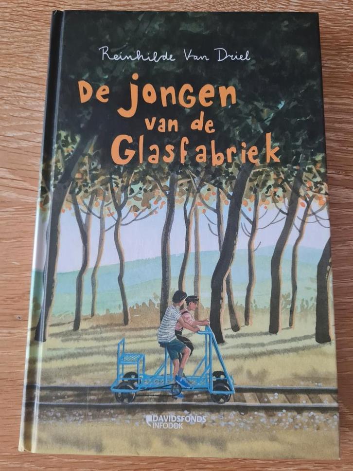 Reinhilde Van Driel - De jongen van de glasfabriek, Boeken, Kinderboeken | Jeugd | 10 tot 12 jaar, Zo goed als nieuw, Ophalen of Verzenden
