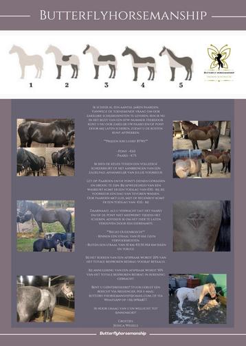 Scheren van paarden en of pony’s beschikbaar voor biedingen