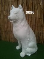 Husky / poolhond., Ophalen, Nieuw, Beton, Dierenbeeld