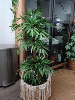 Decoratieve plant/boom - 120cm - realistisch, Huis en Inrichting, Kamerplanten, Ophalen of Verzenden