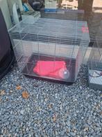 Hamster huis, Minder dan 60 cm, Kooi, Minder dan 75 cm, Ophalen of Verzenden
