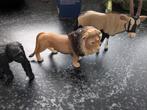 Schleich dieren, Verzamelen, Dierenverzamelingen, Ophalen of Verzenden, Zo goed als nieuw, Overige soorten, Beeldje of Figuurtje
