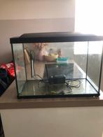 Aquarium SuperFish Start 100, Dieren en Toebehoren, Vissen | Aquaria en Toebehoren, Ophalen, Zo goed als nieuw, Leeg aquarium