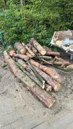 Haardhoud dennen stammen, Minder dan 3 m³, Ophalen of Verzenden, Overige houtsoorten