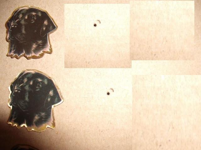 Honden pins zwarte labrador, stafford, border, Verzamelen, Speldjes, Pins en Buttons, Zo goed als nieuw, Ophalen of Verzenden