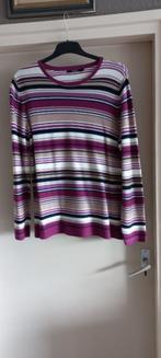 Gestreept shirt Clarina - Maat 46, Paars, Maat 46/48 (XL) of groter, Zo goed als nieuw, Clarina