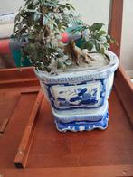Antieke bloempot met kunst bonsai boompje, Antiek en Kunst, Ophalen of Verzenden