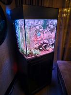Mooi kubus aquarium met onderkast, Ophalen of Verzenden, Zo goed als nieuw, Leeg aquarium