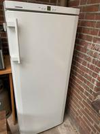 Koelkast Proline & Liebherr Vriezer - Zo goed als nieuw!, Gebruikt, Minder dan 85 cm, Minder dan 60 cm, Energieklasse A of zuiniger