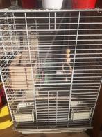 Vogelkooi, Dieren en Toebehoren, Vogels | Hokken en Kooien, Ophalen of Verzenden, Zo goed als nieuw, Metaal, Vogelkooi