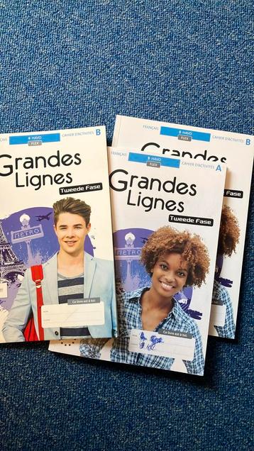Grandes lignes - Havo 4 en 5 Cahier d’activites beschikbaar voor biedingen