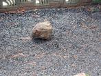 Gratis af te halen grind/split grijs, Tuin en Terras, Grind, Keien en Split, Ophalen, Gebruikt, Grijs, Basalt