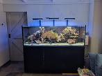 Te koop Red Sea 750XXL met sump en inhoud  en verlichting,, Dieren en Toebehoren, Vissen | Aquaria en Toebehoren, Zo goed als nieuw