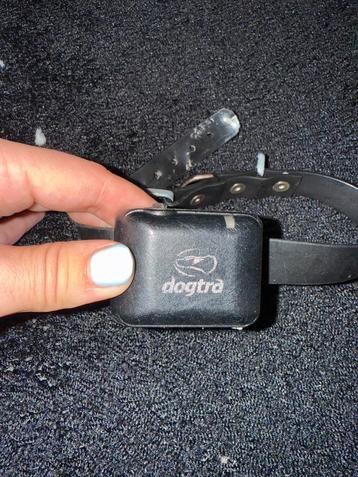 Dogtra ys300 hond, Trainingshalsband beschikbaar voor biedingen
