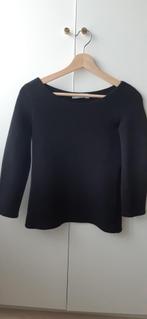 Merkkleding Vanilia top zwart mt.36 te koop, Kleding | Dames, Tops, Ophalen of Verzenden, Lange mouw, Zo goed als nieuw, Maat 36 (S)